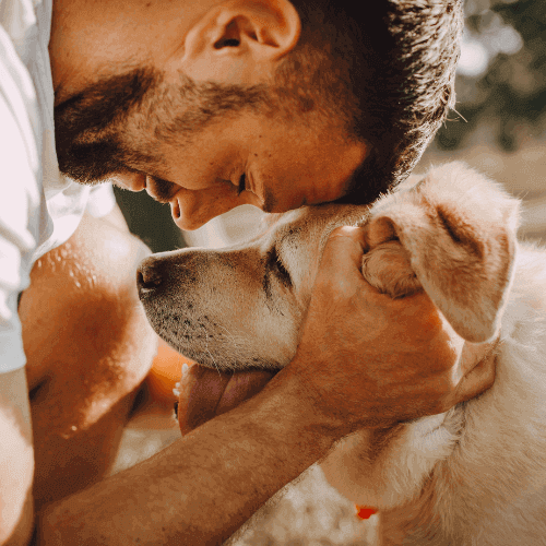 comparateur Assurance Animaux