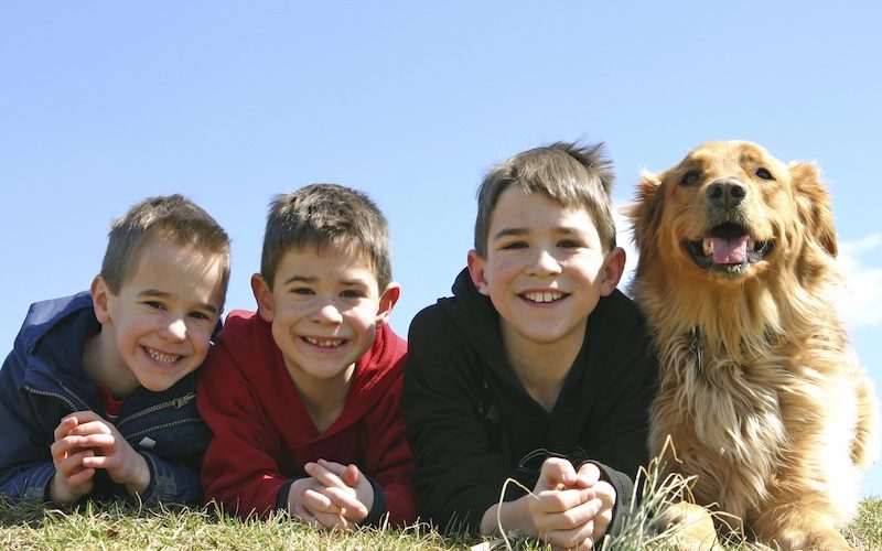quelle place donner à son animal au sein de la famille ?