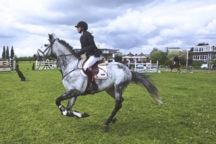 Assurance cheval