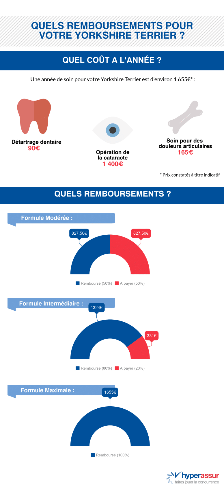 Assurance : quels remboursements pour votre Yorkshire Terrier [infographie]