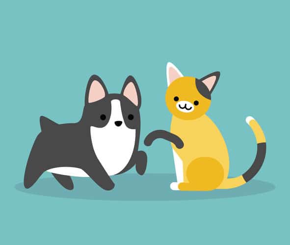 Garantie animaux