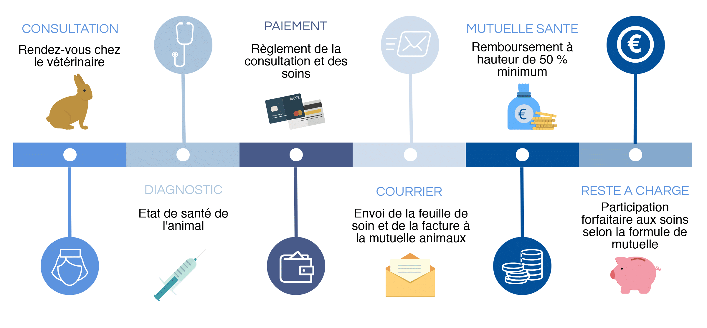 Comment se passe le remboursement d'une assurance lapin ?