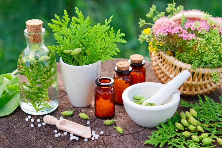 homeopathie plantes soins