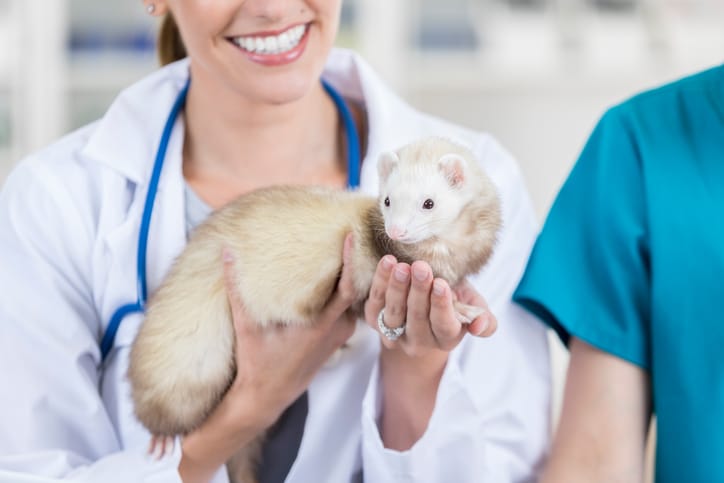 assurance santé NAC furet docteur