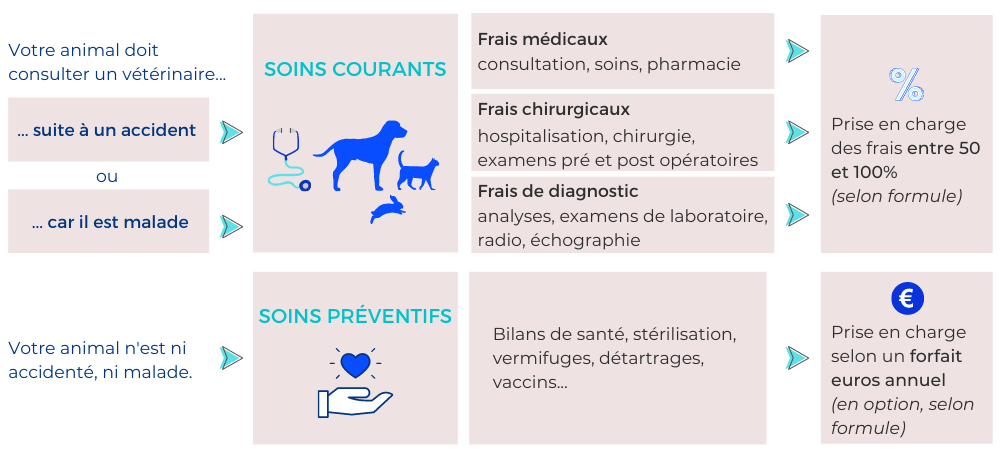 L'assurance chien et chat distingue les soins courants et les soins préventifs. 