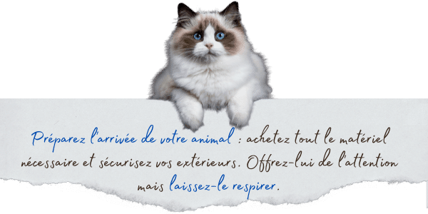 preparer larrivee de votre animal