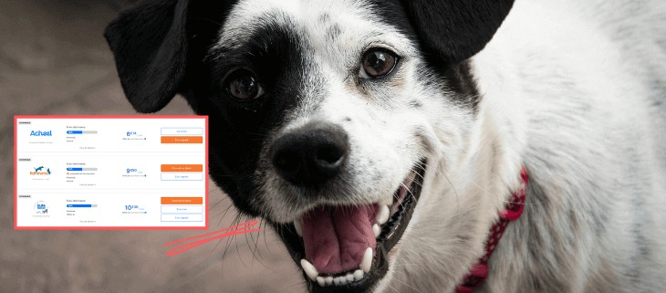 assurance chien hyperassur