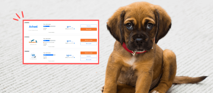 Comparateur assurance animaux par Hyperassur