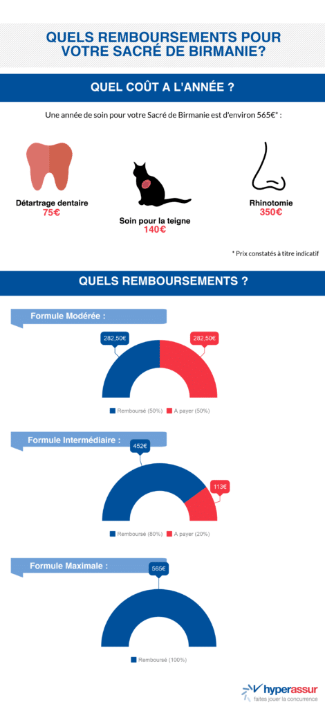 Assurance chat Birmanie Hyperassur