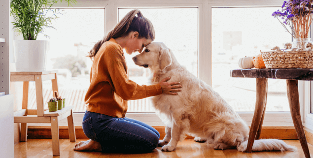 choisir assurance animaux