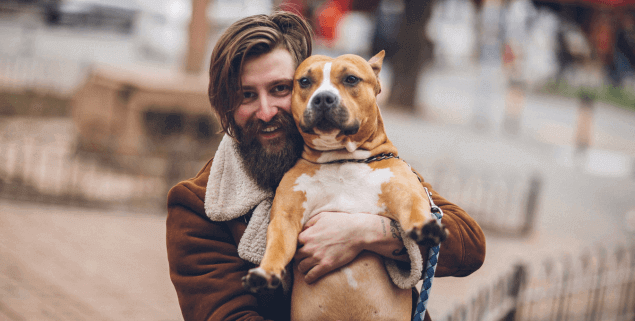 comment choisir assurance animaux