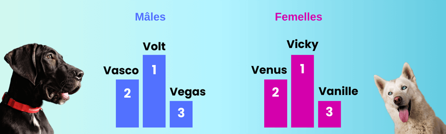 TOP noms chiens 2024