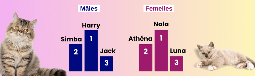 top noms de chat 2025