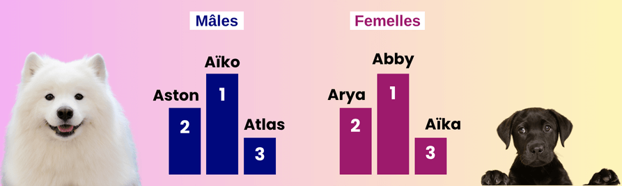 top noms de chien 2025