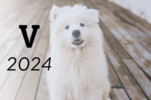 chien 2024