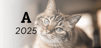 noms de chat en A en 2025