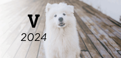 noms chien en V - 2024