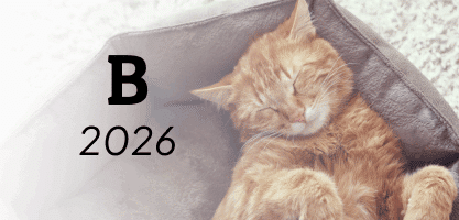 noms de chat en B - 2026