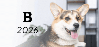 noms de chien en B 2026